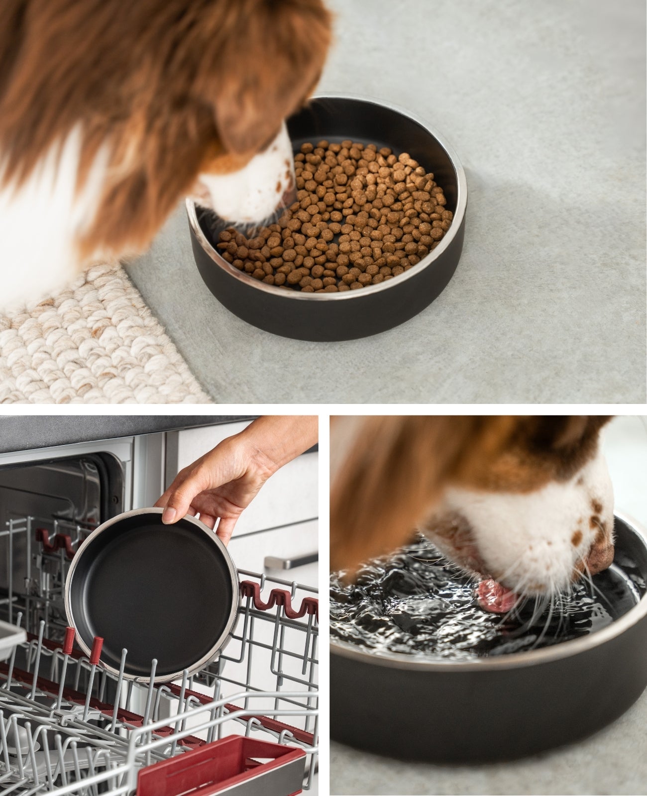 Hundenapf aus Edelstahl