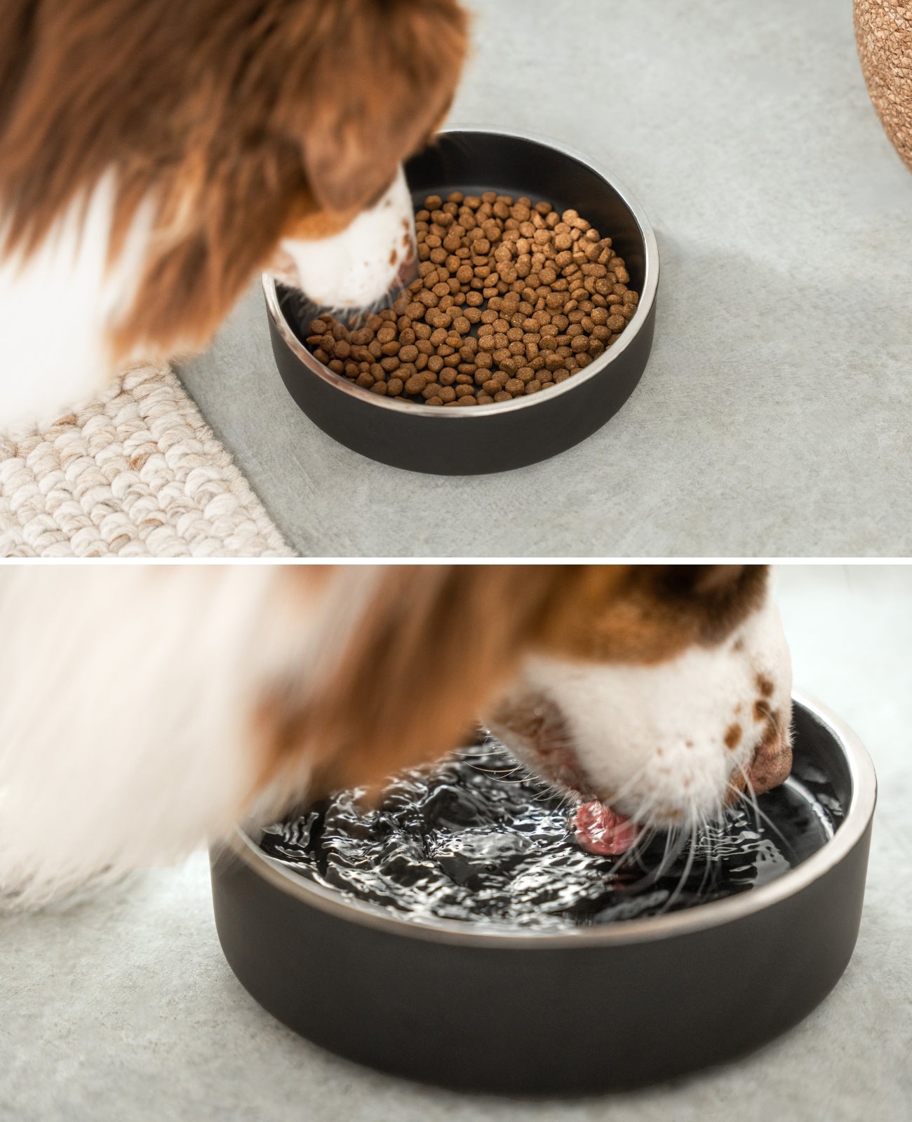 Hundenapf aus Edelstahl