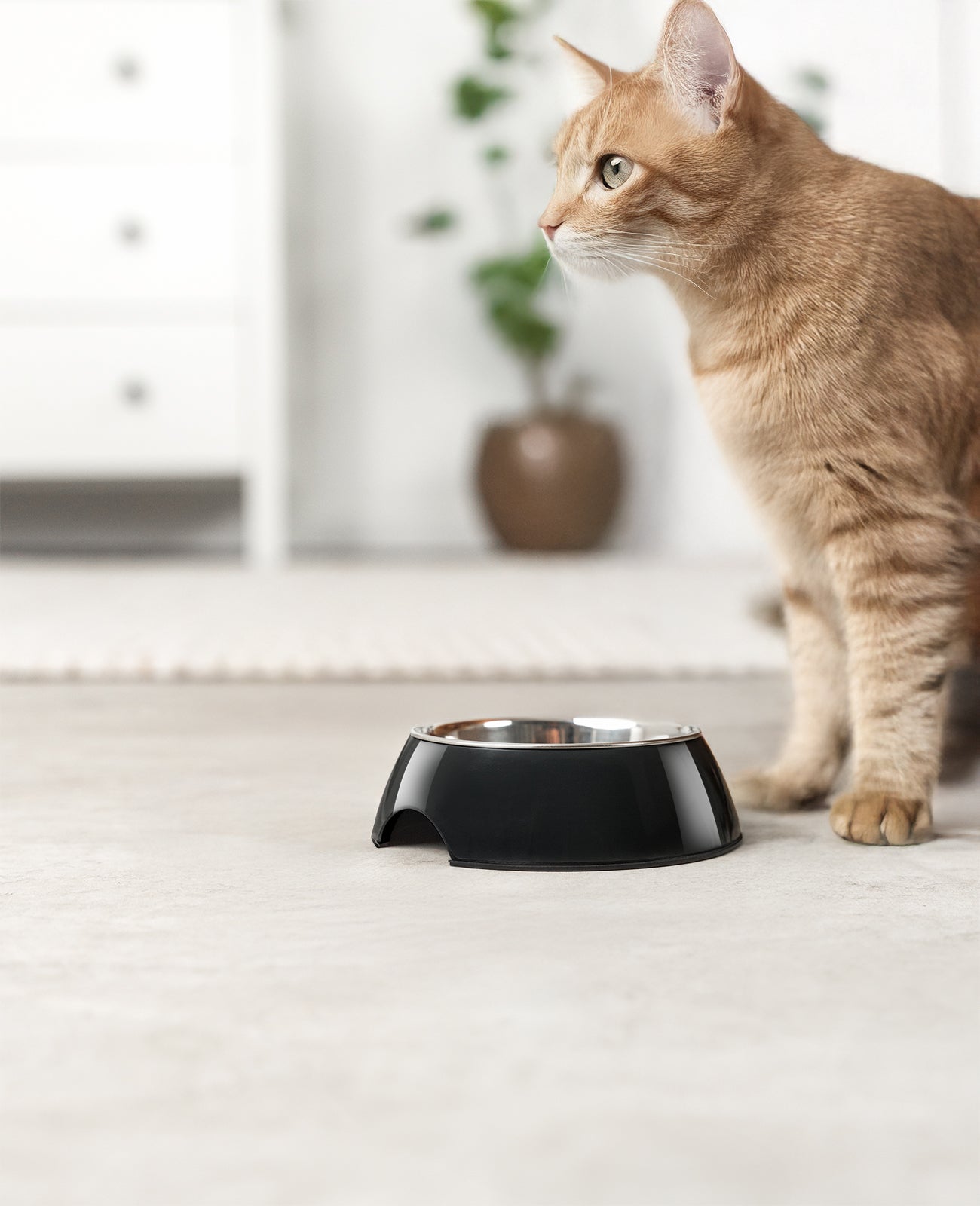 Katzennapf aus Melamin