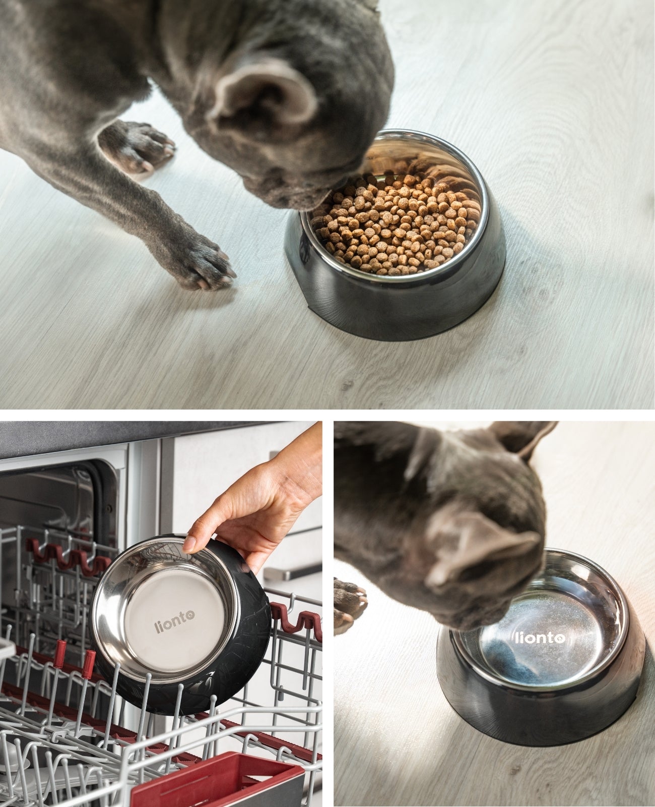 Hundenapf aus Melamin