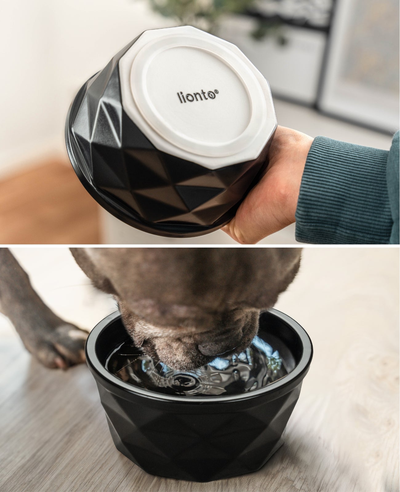 Hundenapf aus Keramik