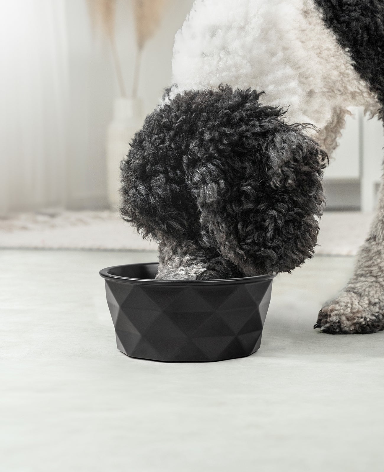 Hundenapf aus Keramik