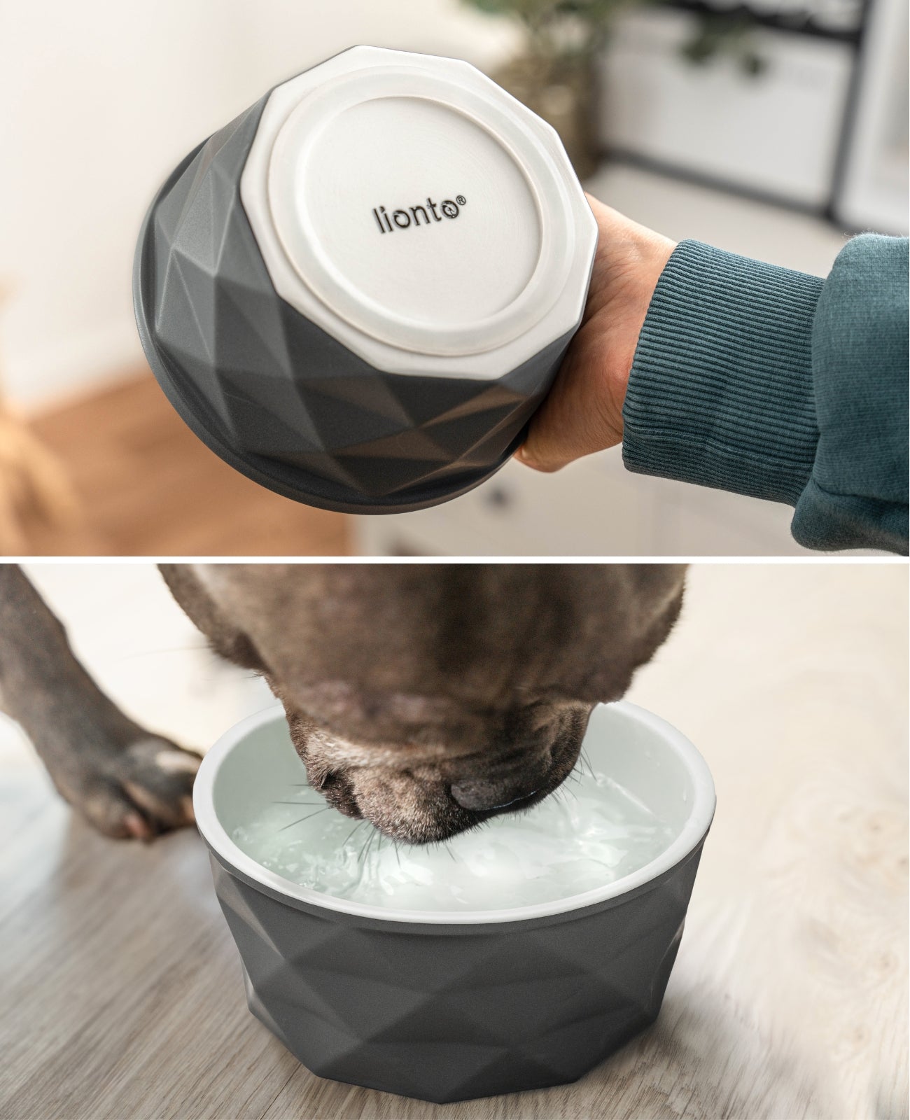 Hundenapf aus Keramik