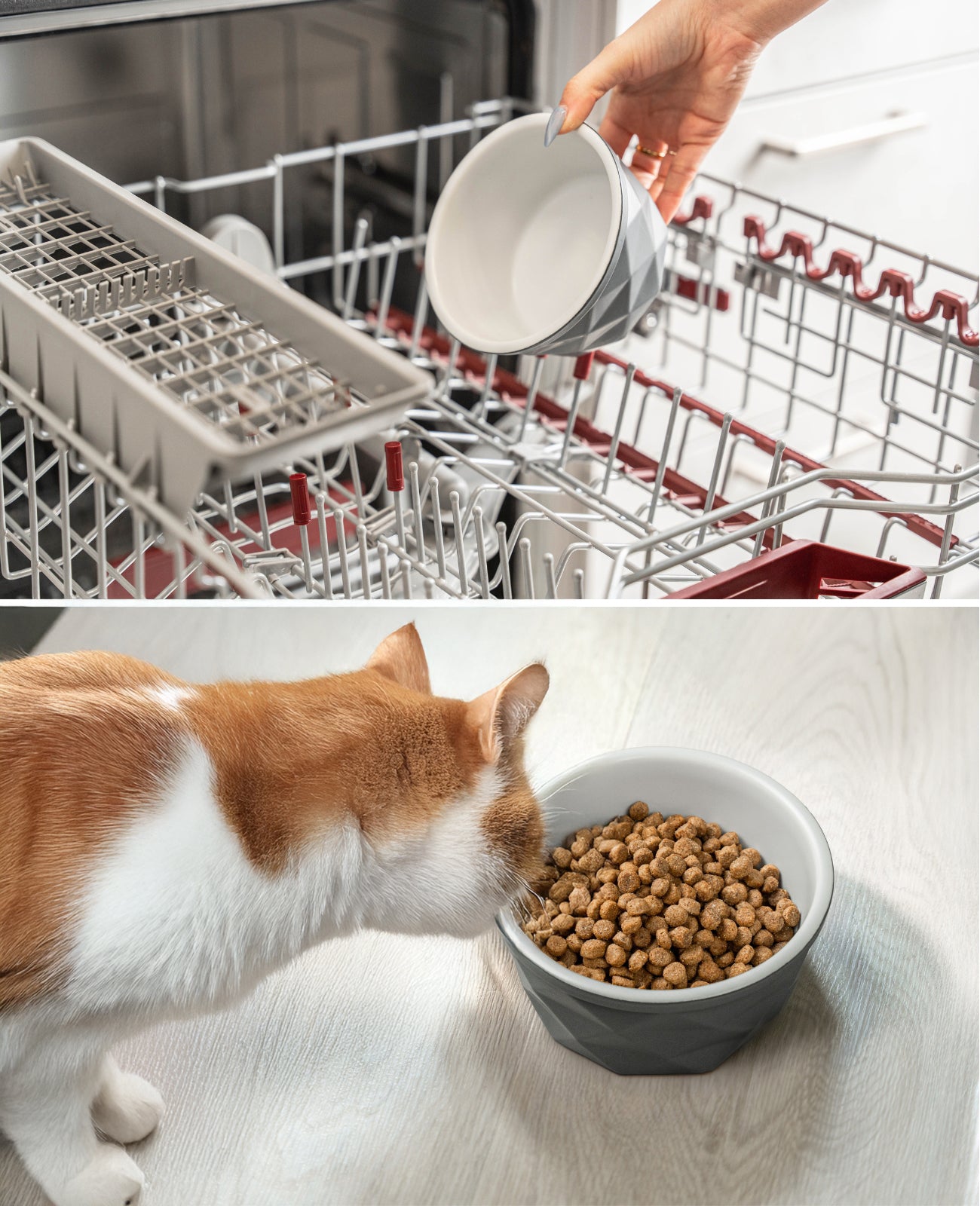 Katzennapf aus Keramik