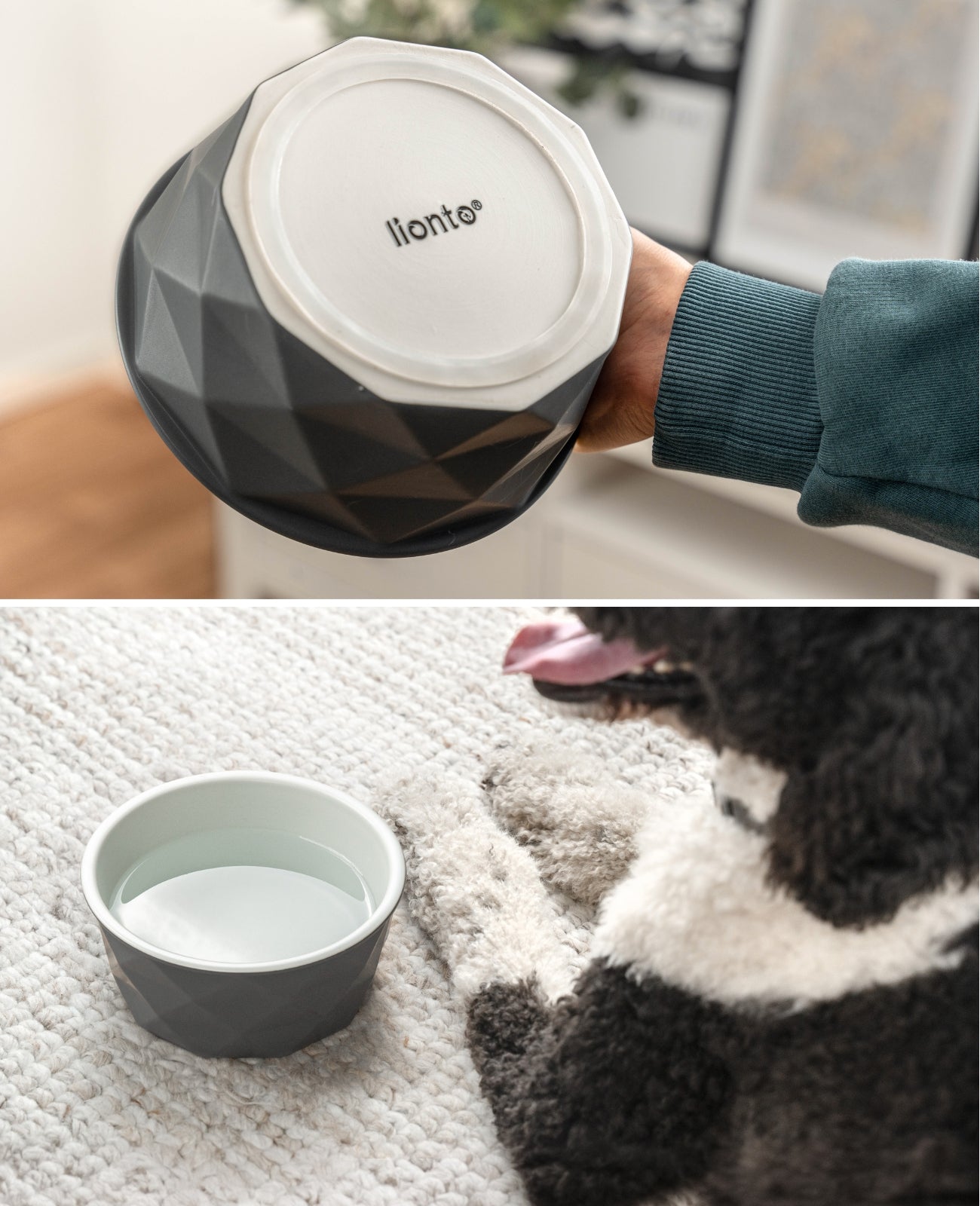 Hundenapf aus Keramik