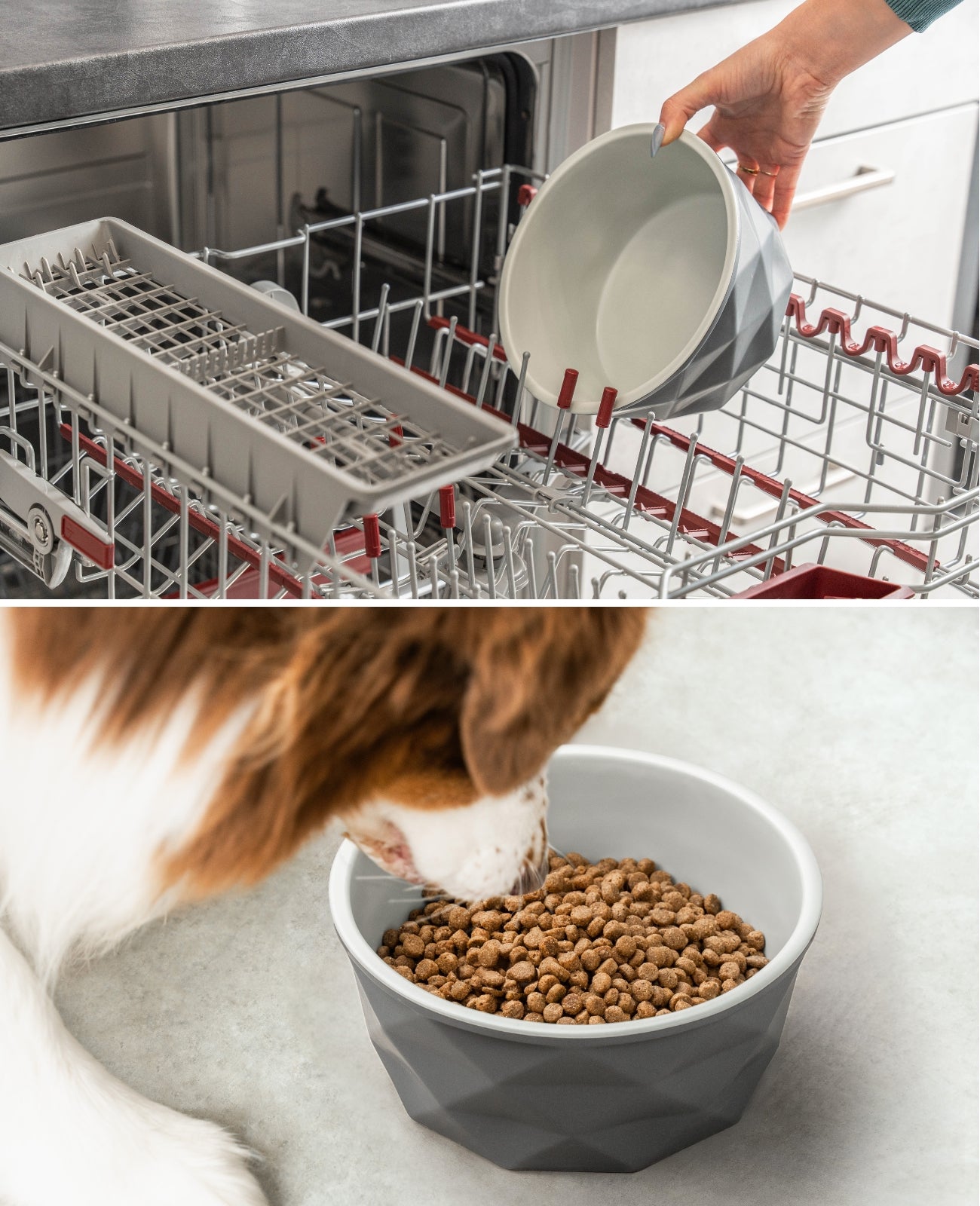 Hundenapf aus Keramik