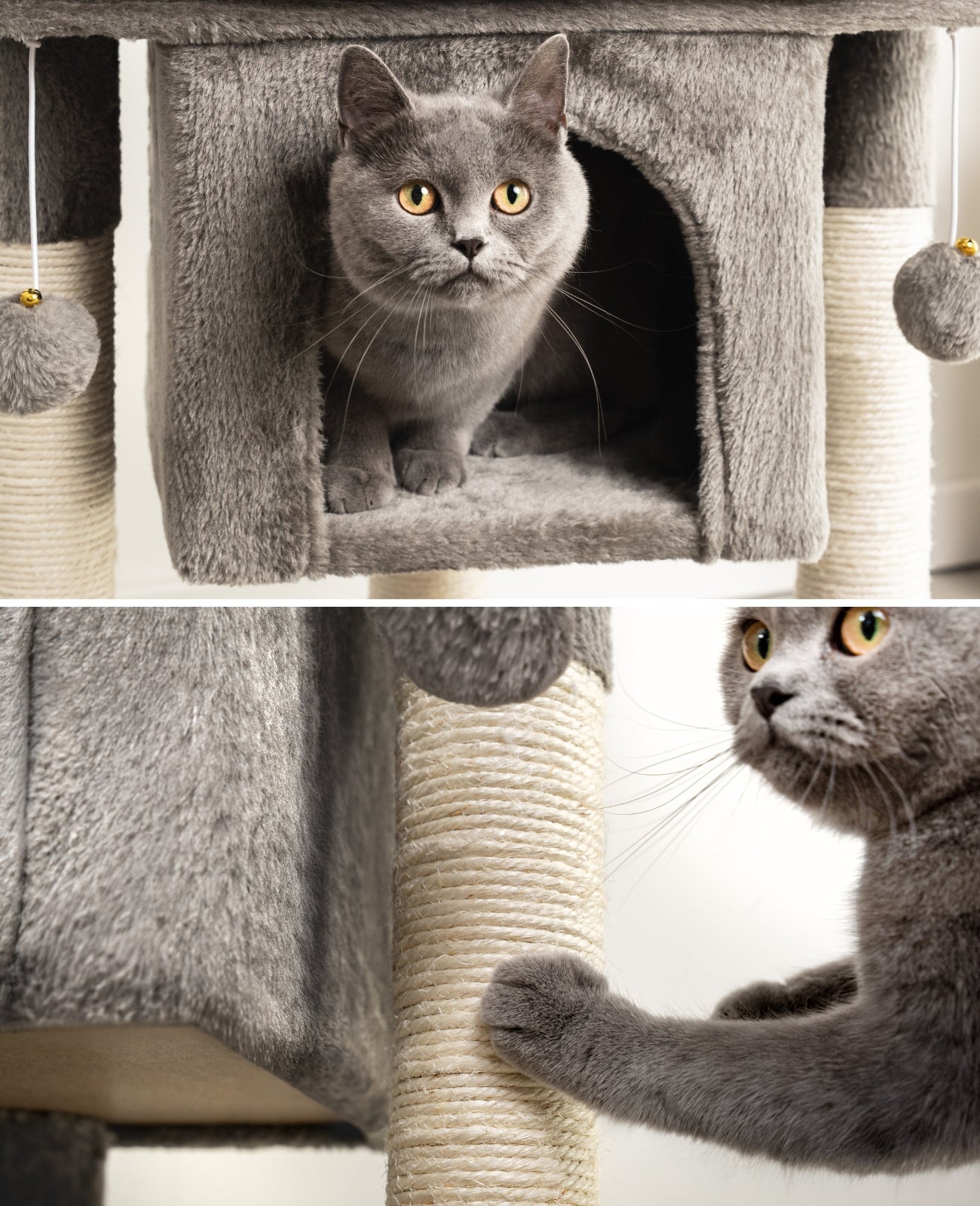 Katzenkratzbaum Höhe 60 cm