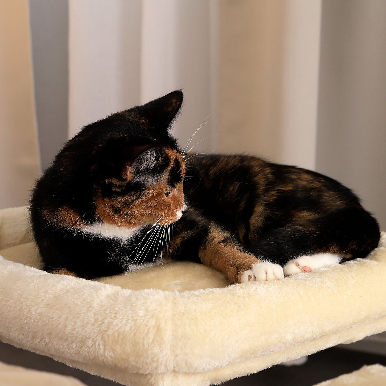 Katzenkratzbaum Höhe 50 cm