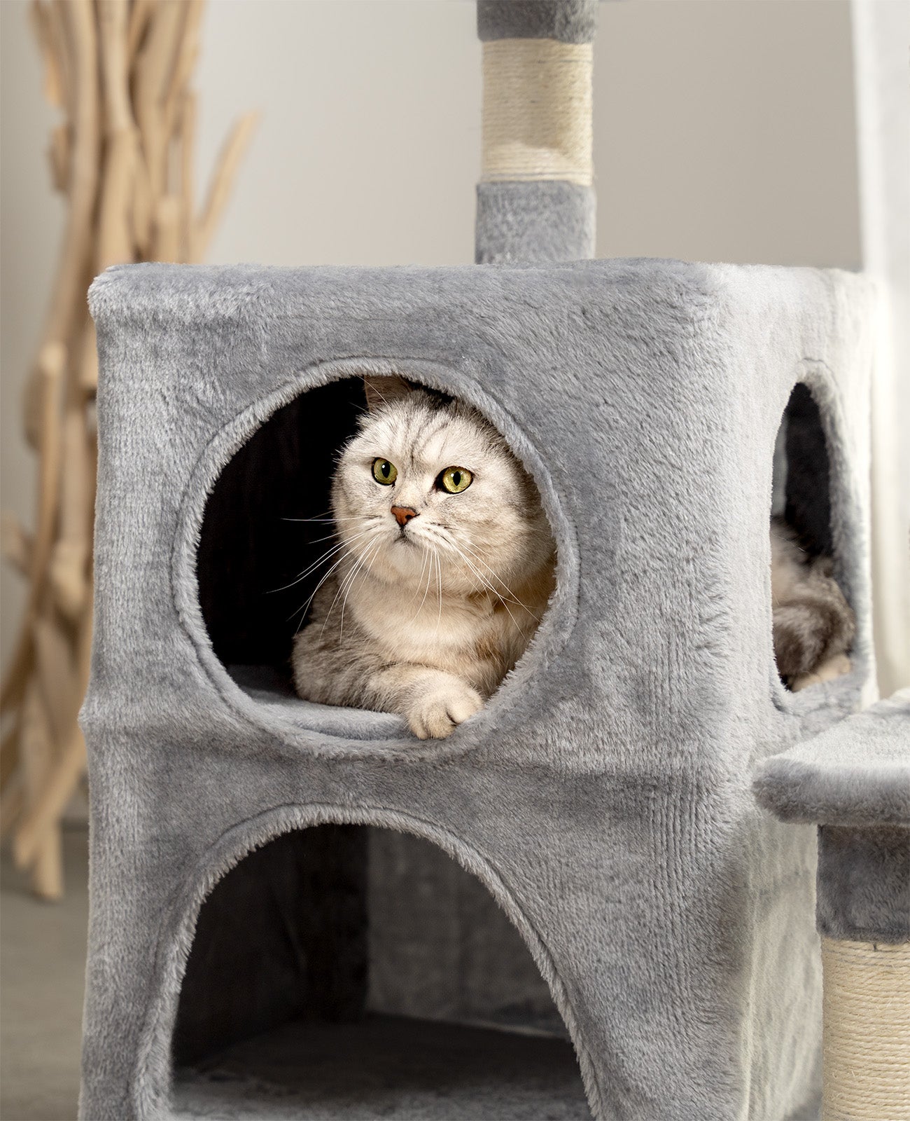 Katzenkratzbaum Höhe 80 cm