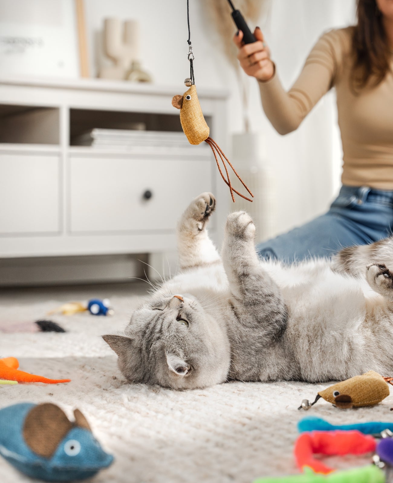 Katzenspielzeug 14-teilig