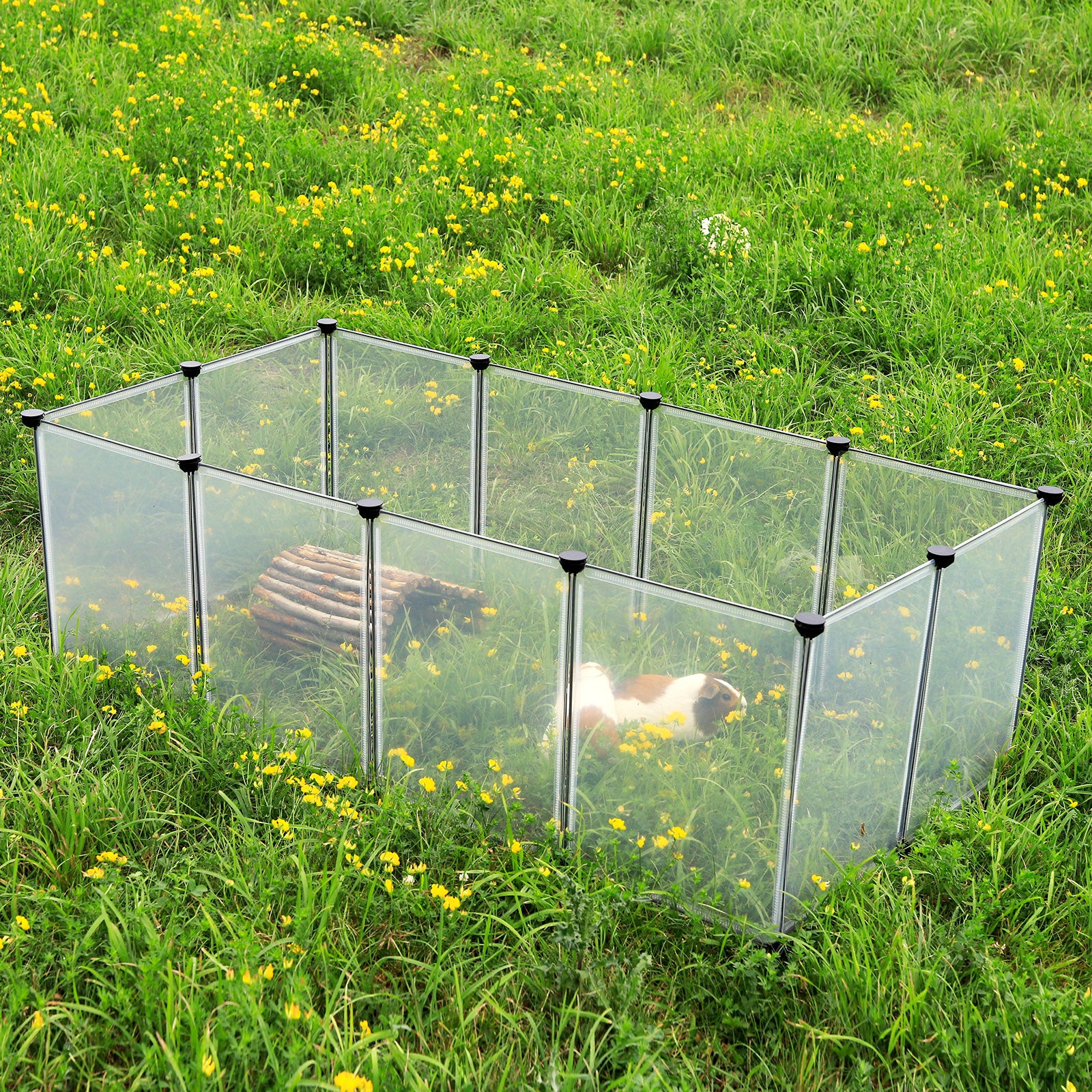 Meerschweinchen sitzt in Freilaufgehege aus Kunststoff auf Wiese