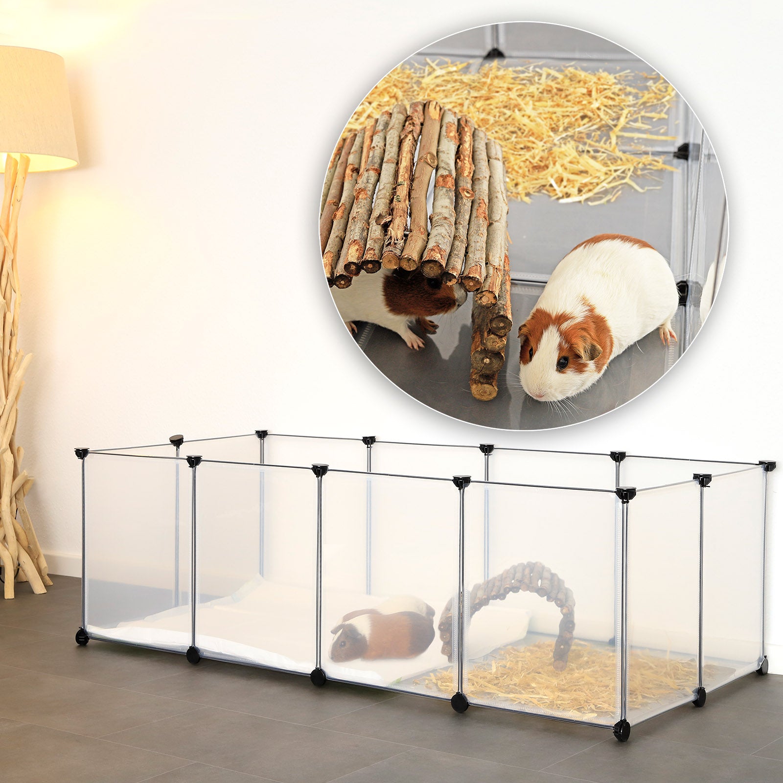 Meerschweinchen sitzt in Freilaufgehege aus Kunststoff im Wohnzimmer