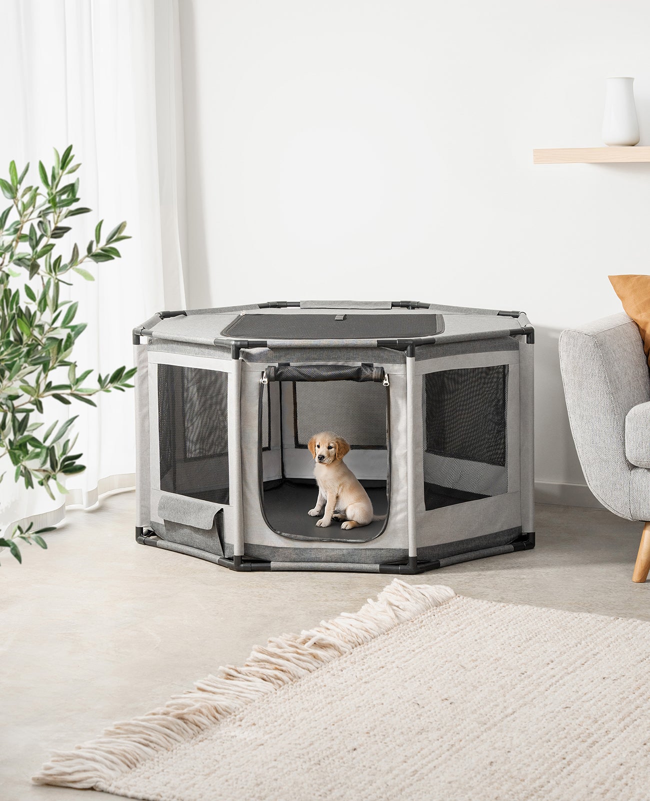 Welpenauslauf mit Rahmen aus PVC-Rohren