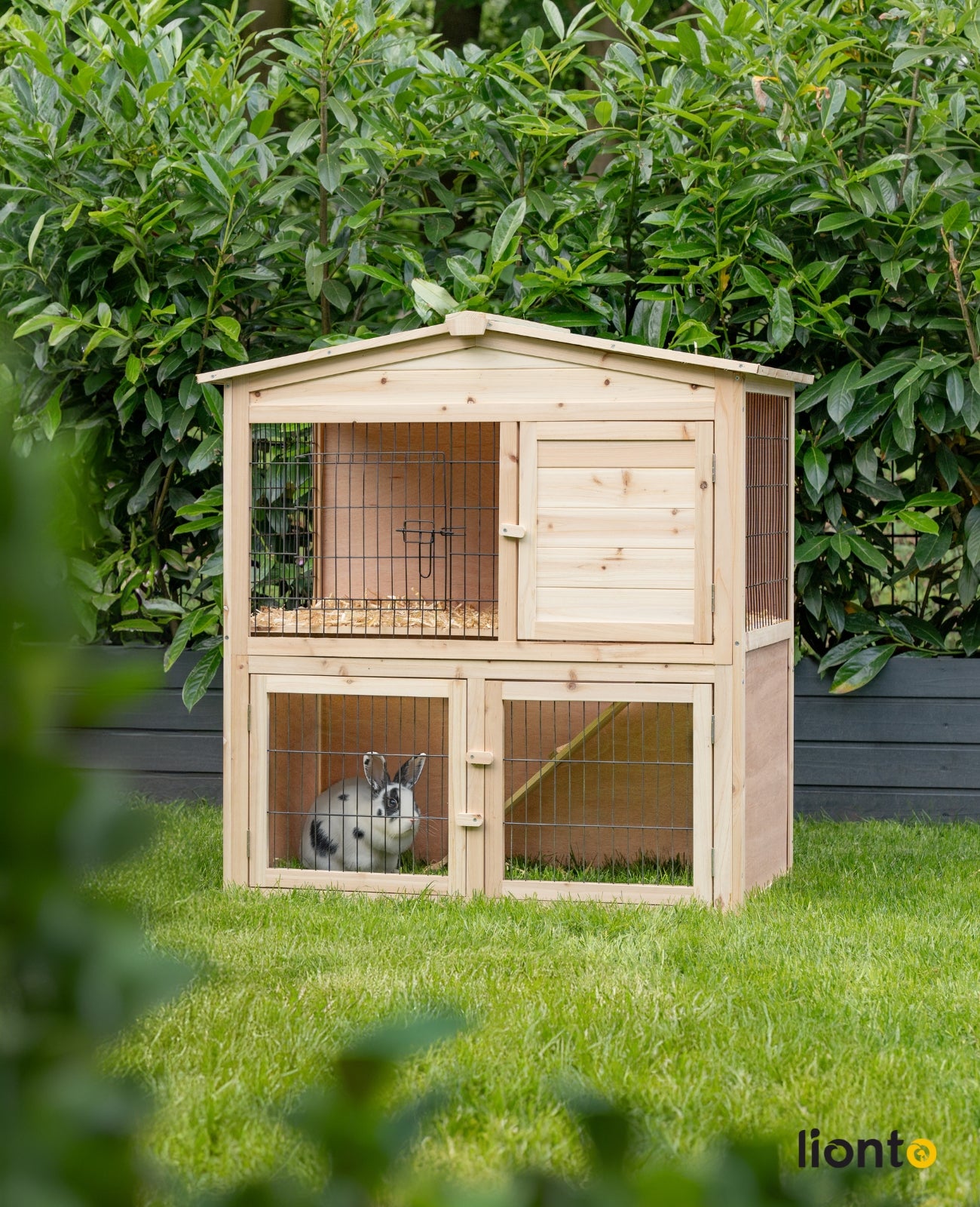 Kaninchen im Kleintierstall aus Holz im Garten