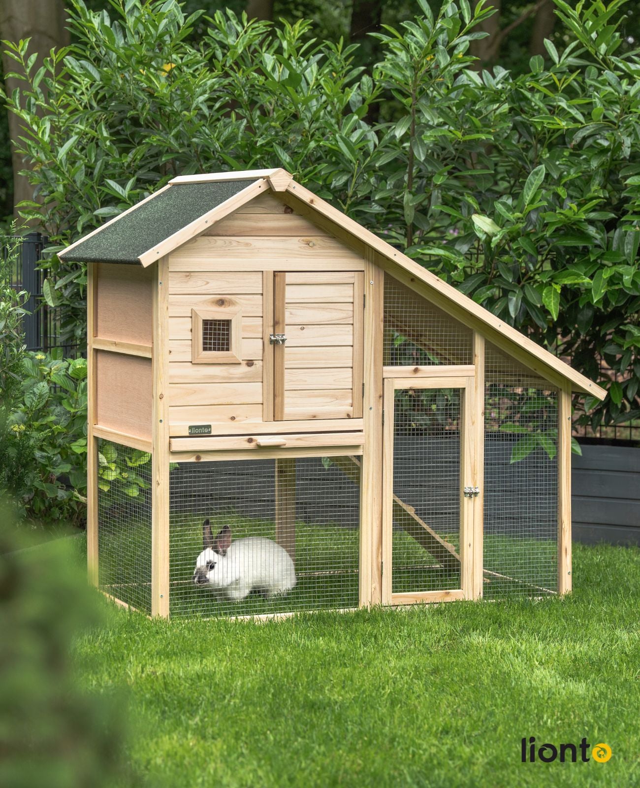 Kaninchen im Kleintierstall aus Holz im Garten