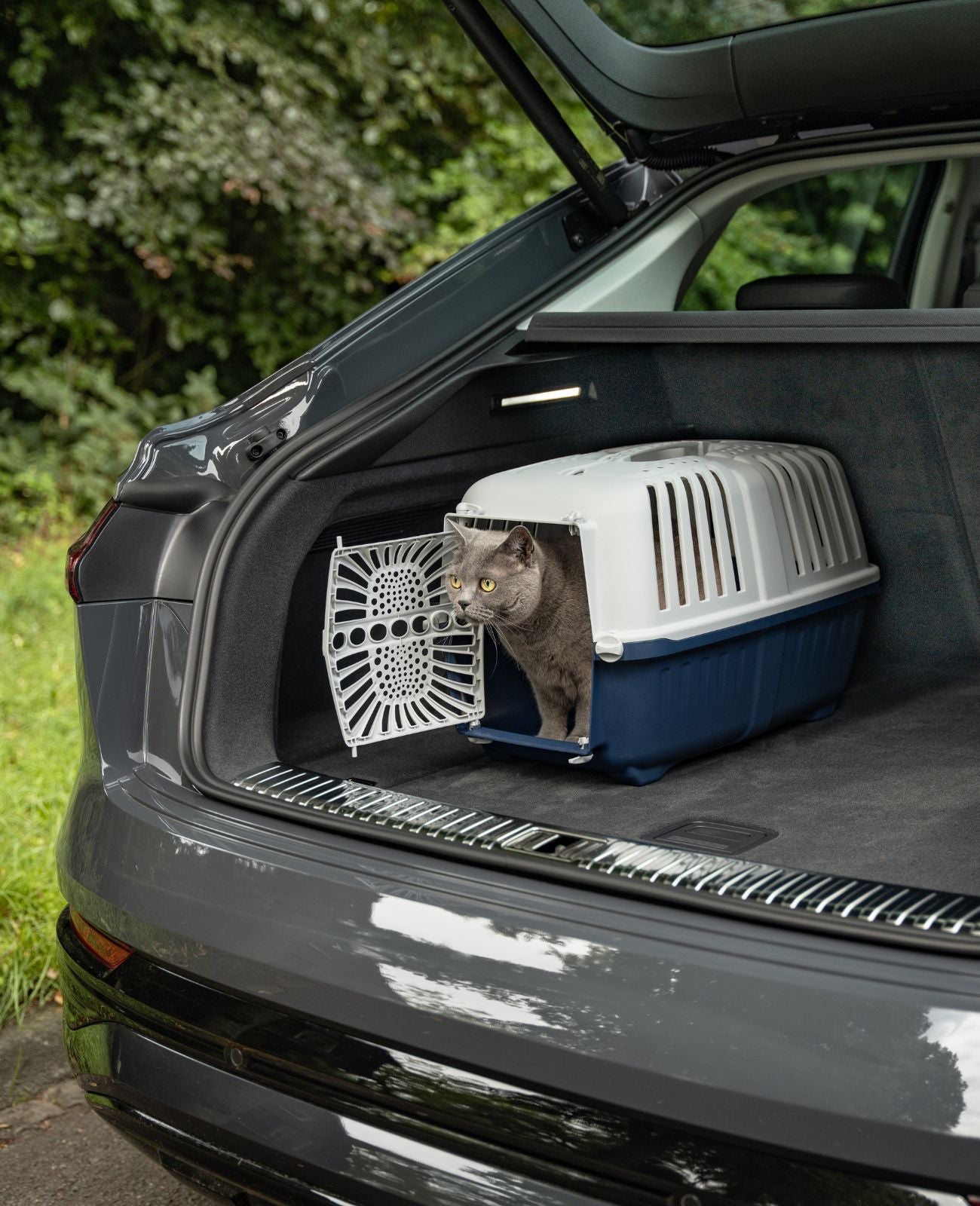 Katzentransportbox aus Kunststoff