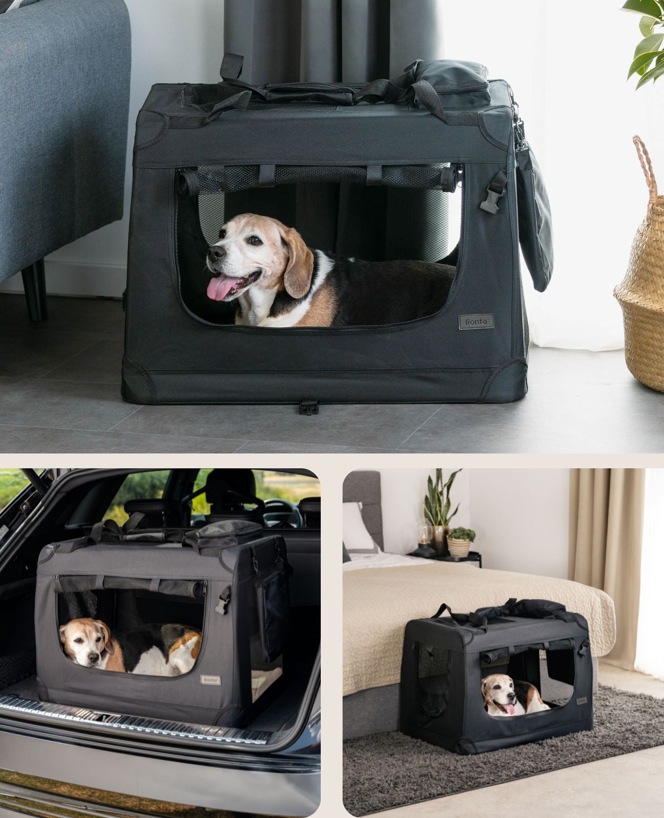 Hundetransportbox faltbar