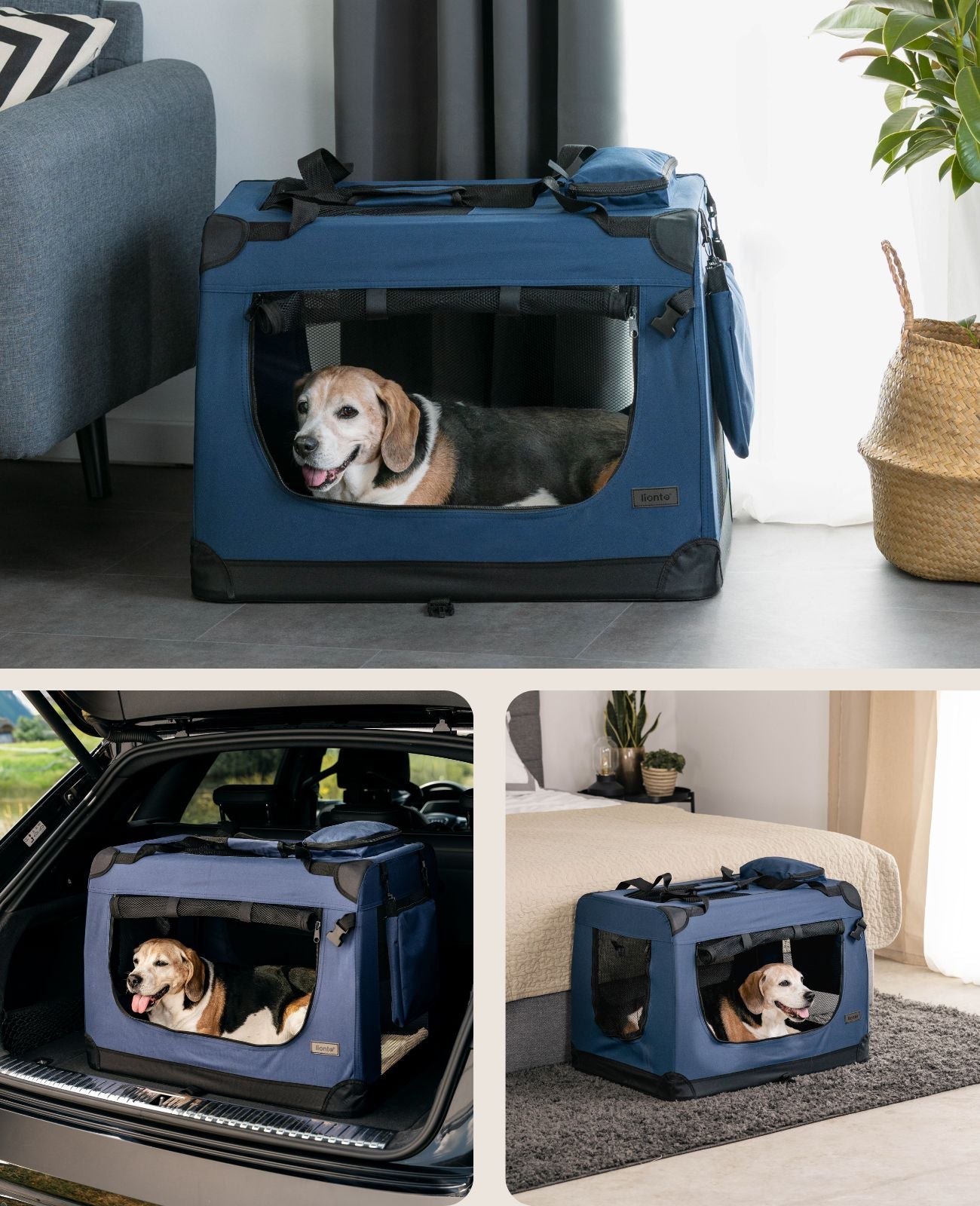 Hundetransportbox faltbar