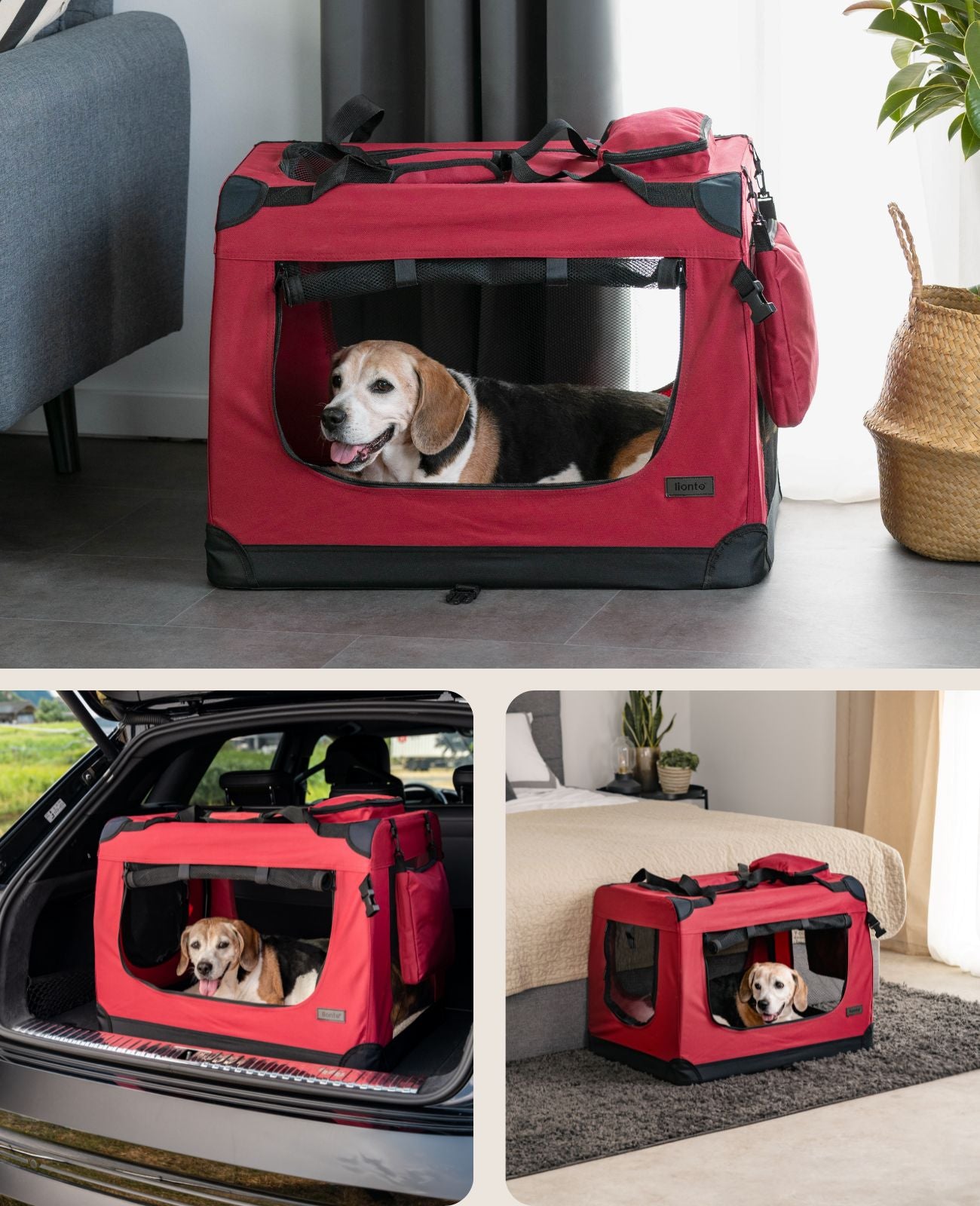 Hundetransportbox faltbar