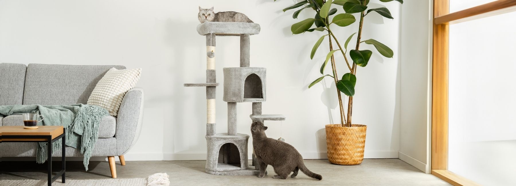 Kratzbaum für Katzen mit Liegeflächen und Sisalstämmen