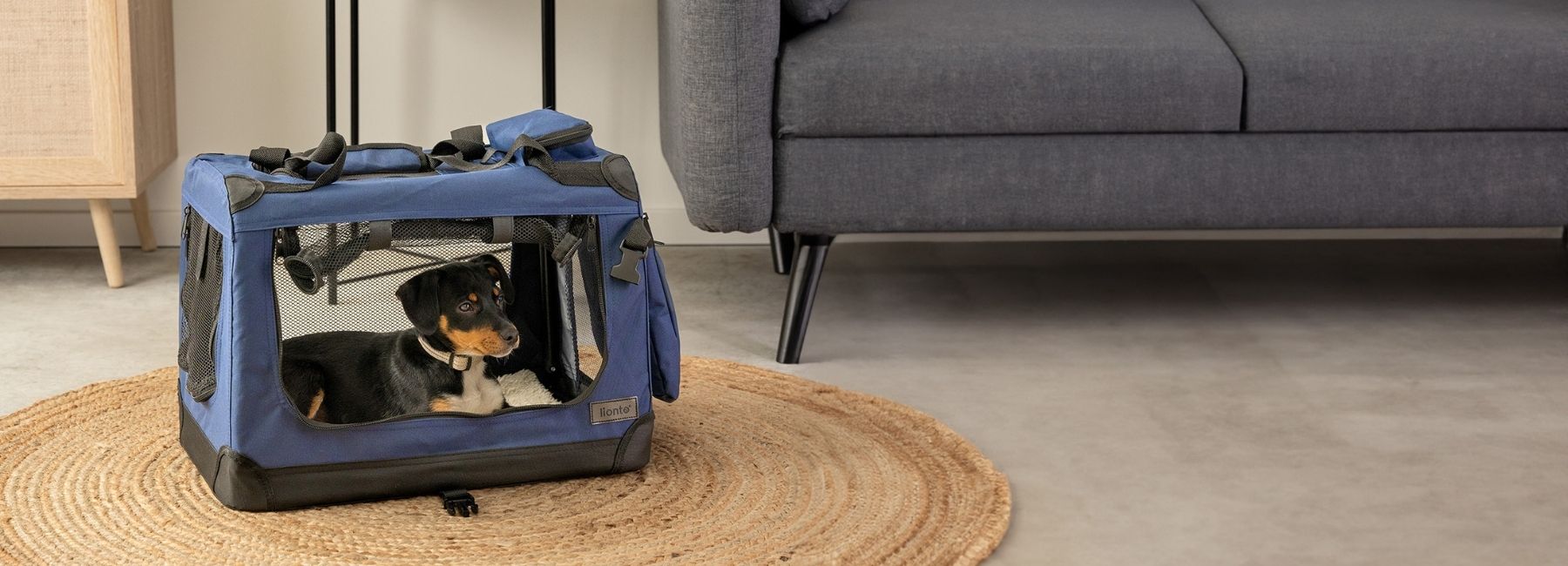 Stabile Hundetransportbox für Reisen und Autofahrten