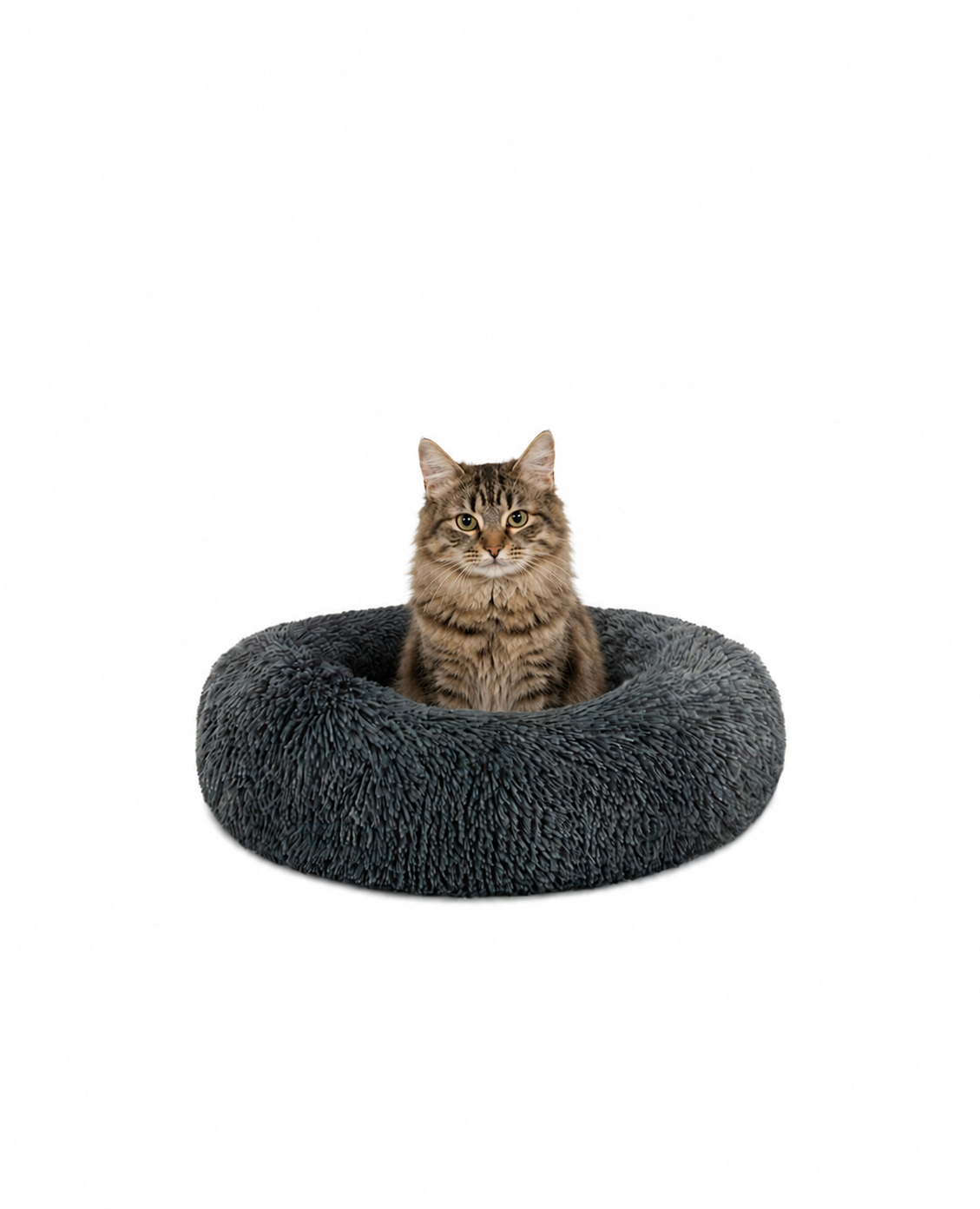 Rundes Katzenbett in Donutform aus Plüsch