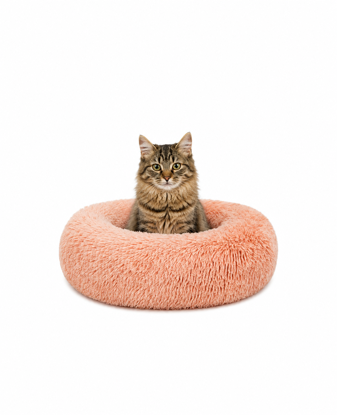 Rundes Katzenbett in Donutform aus Plüsch
