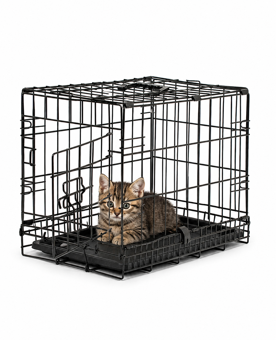 Katzentransportkäfig mit Bodenwanne