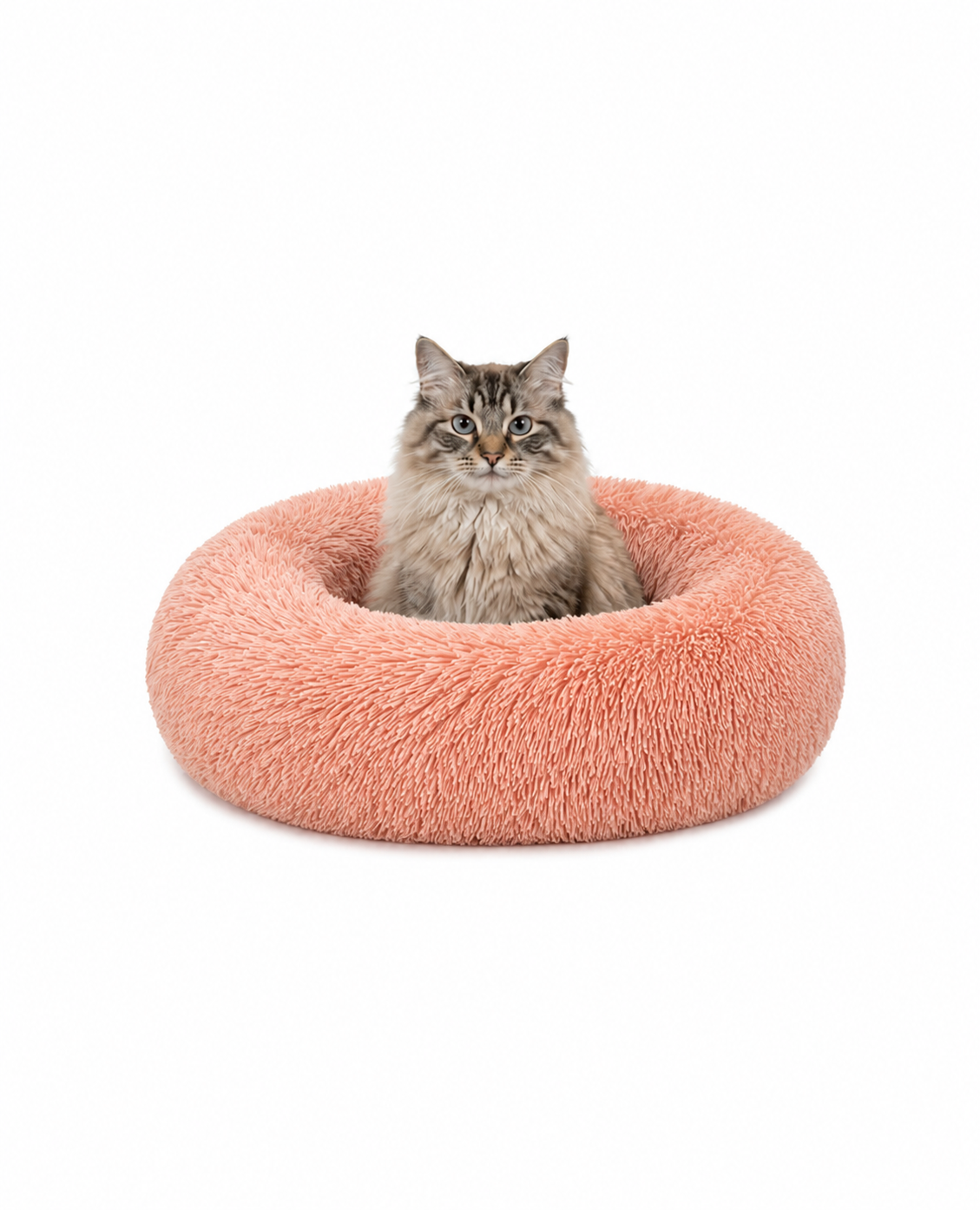 Rundes Katzenbett in Donutform aus Plüsch