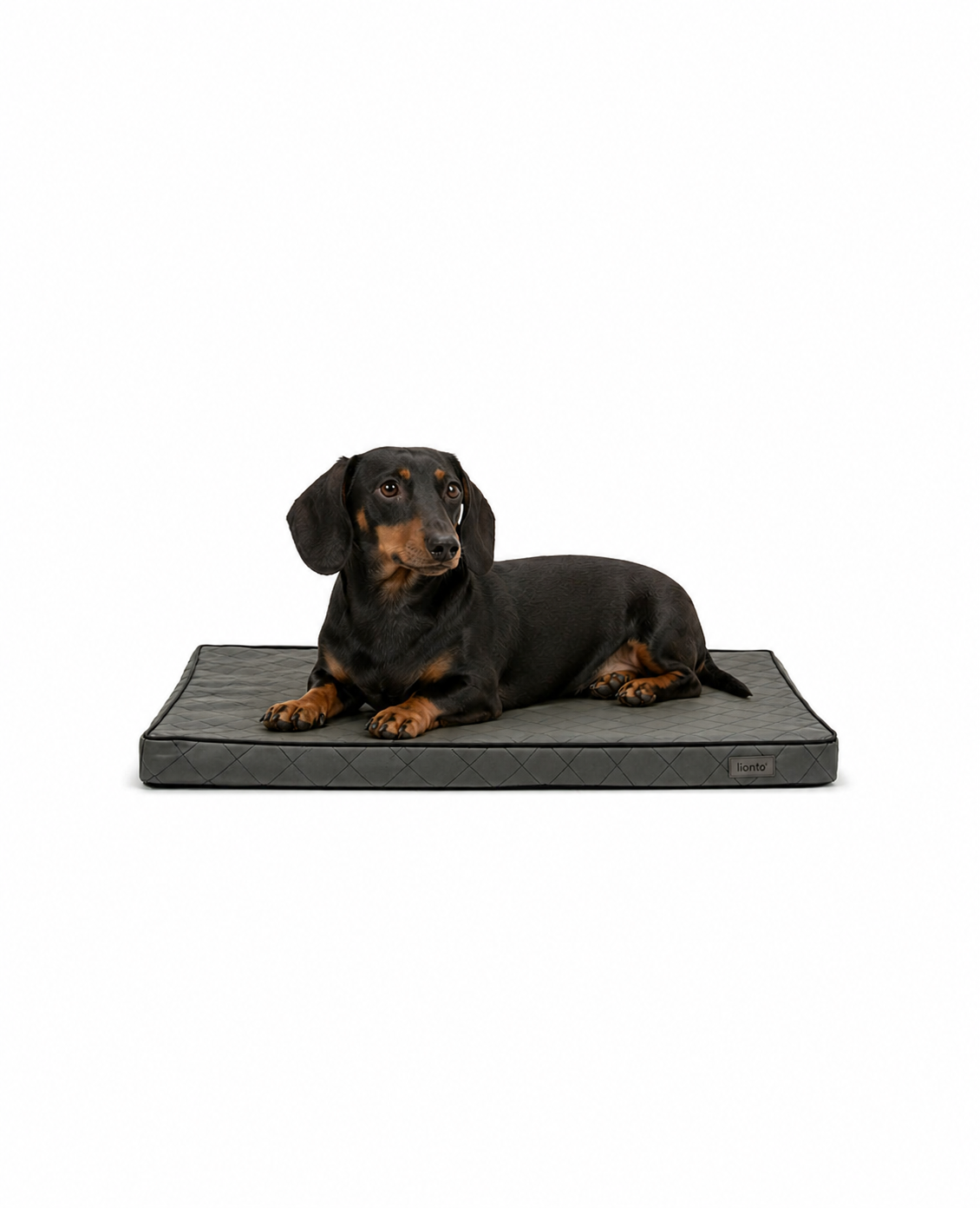 Orthopädische Hundematte