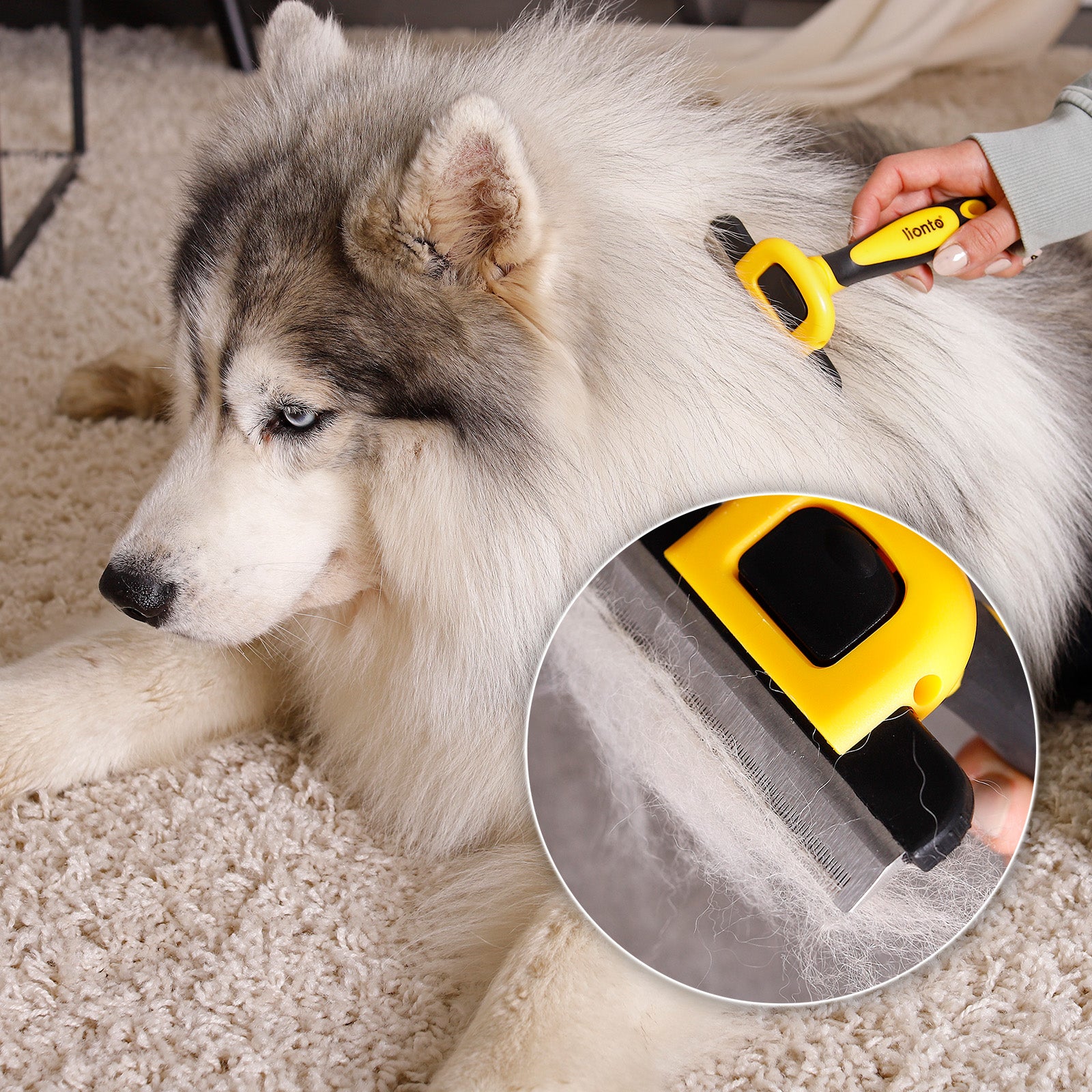 Hundebürsten zur Fellpflege