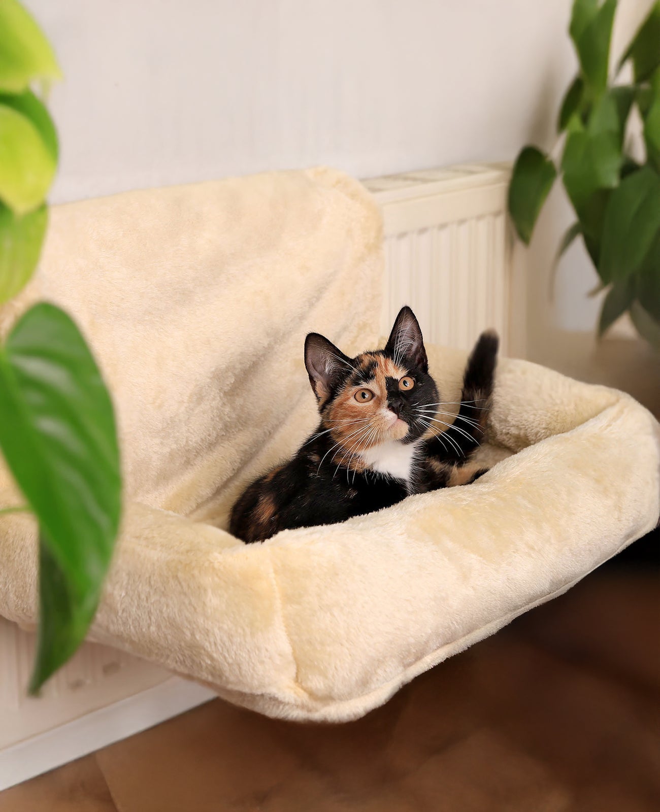 Katzenheizungsliege aus Plüsch