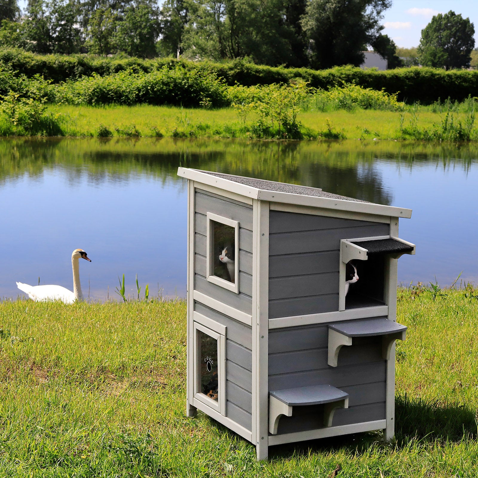 zwei Katzen sitzen im Katzenhaus auf Wiese am See