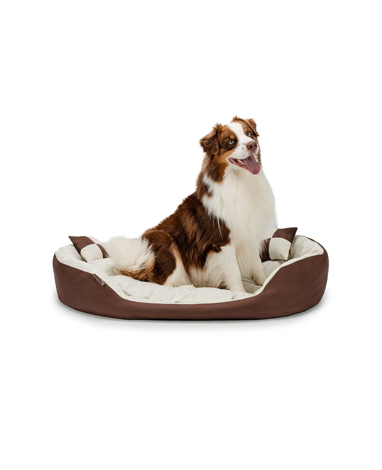 Border Collie sitzt in Hundebett aus Oxfordgewebe mit Wendekissen in braun/beige