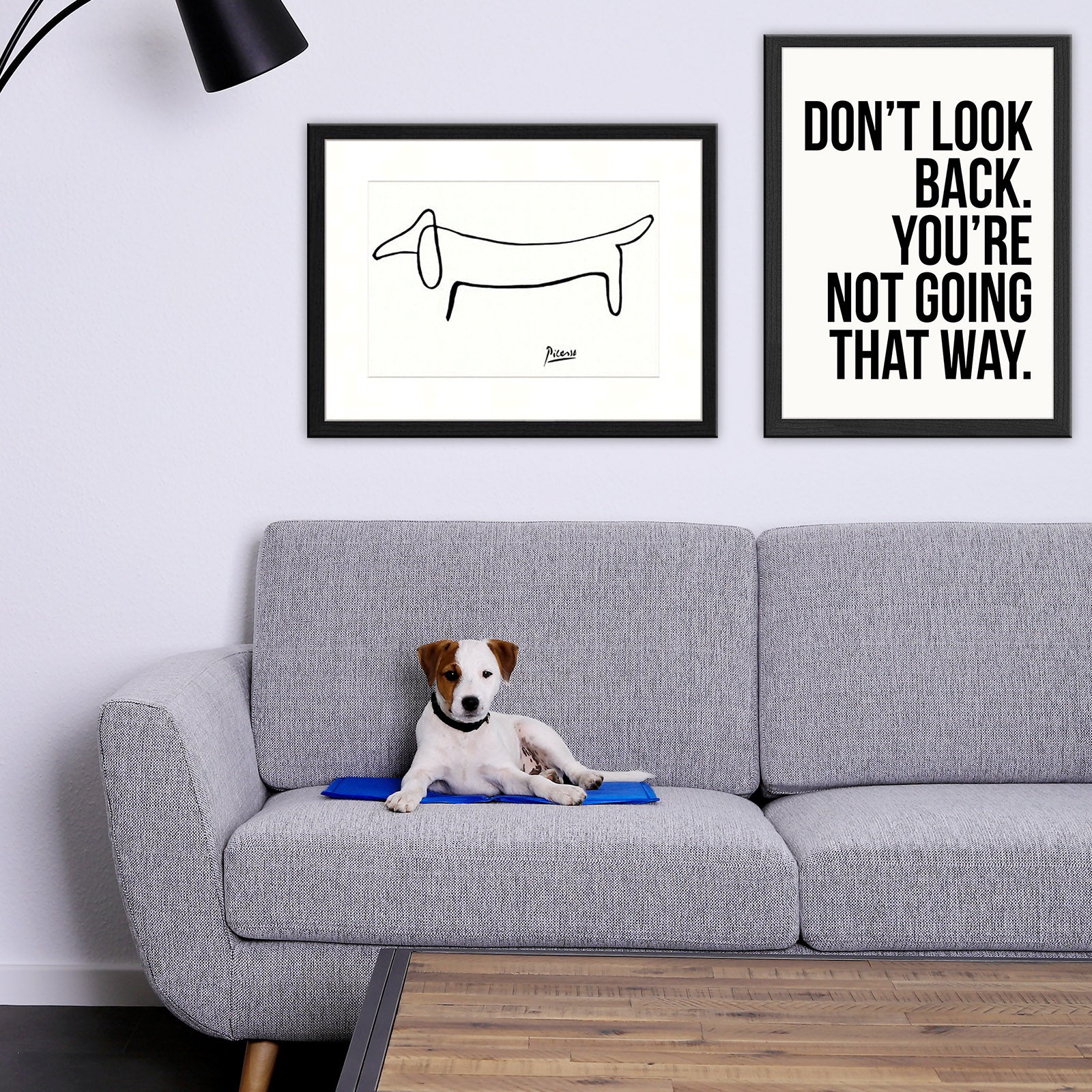 Hund liegt auf Kühlmatte auf der Couch im Wohnzimmer