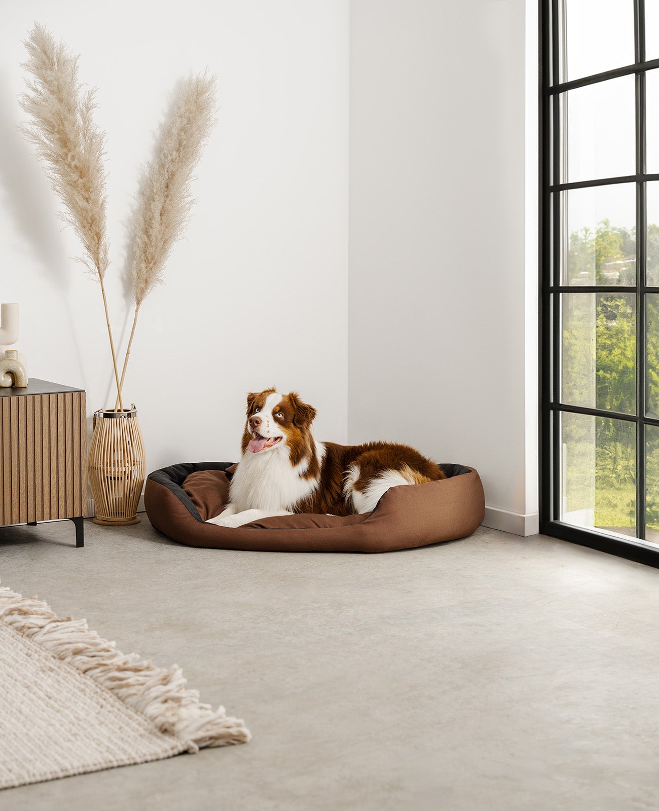 4-in-1 Hundebett mit Wendekissen