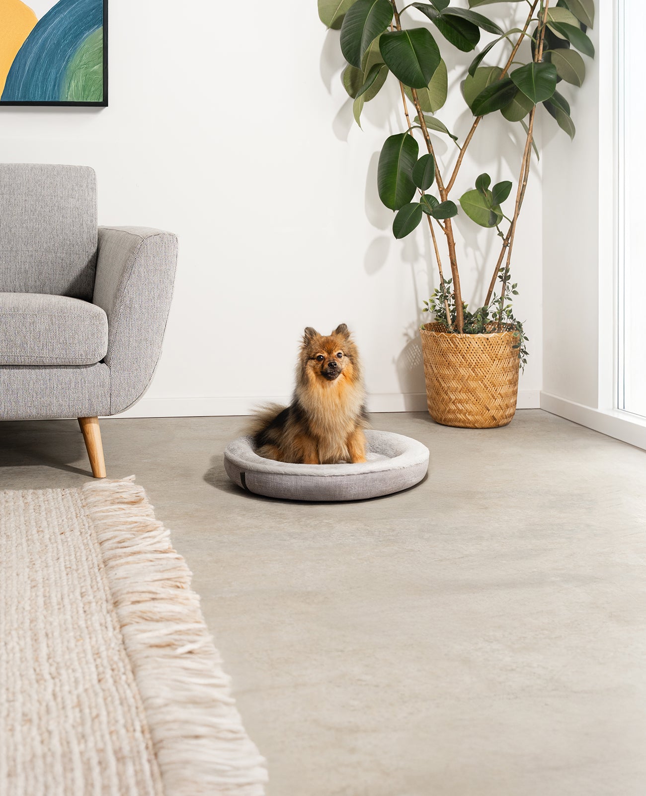 Rundes Hundebett in Donutform