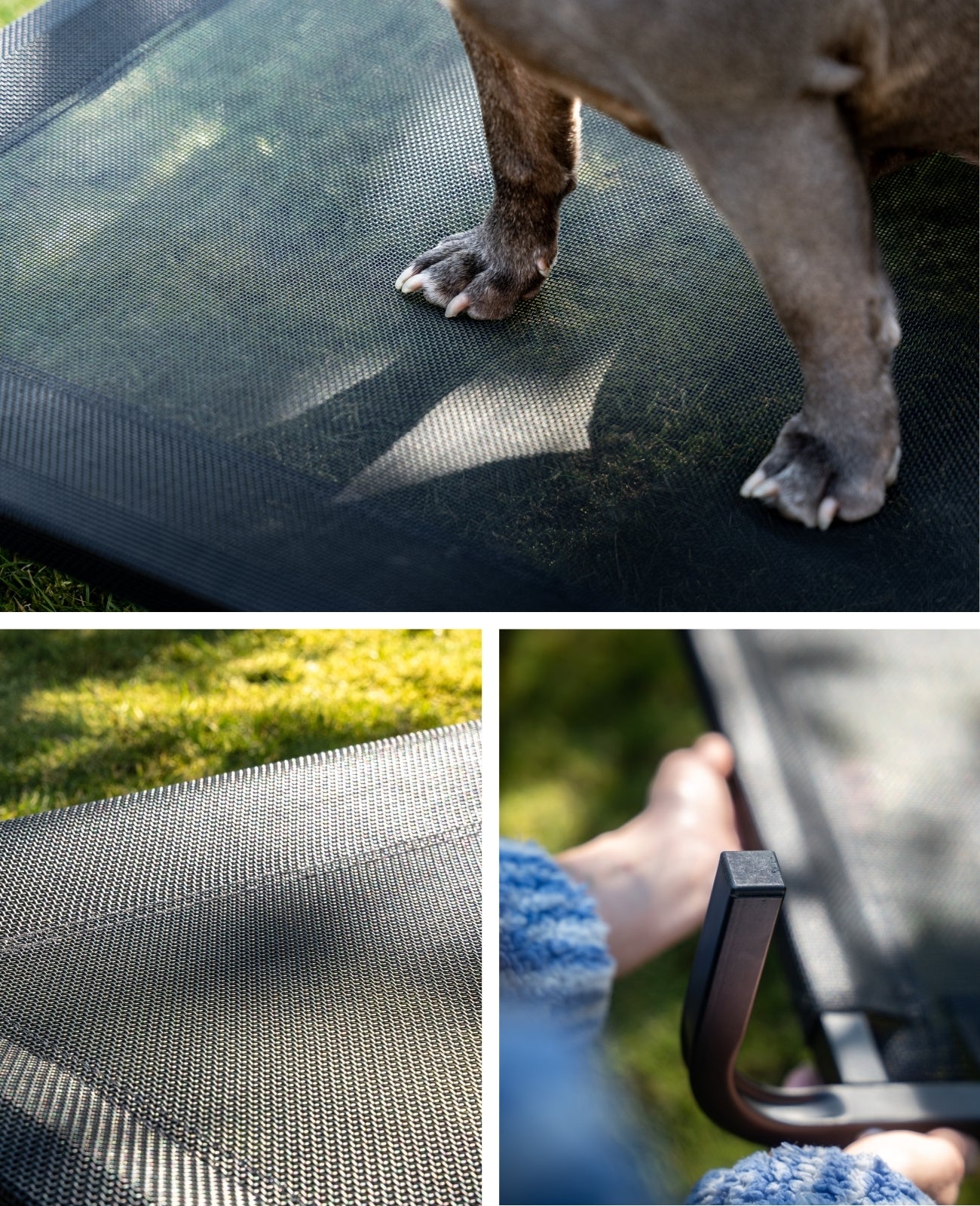 Erhöhte Hundeliege für Haus und Garten