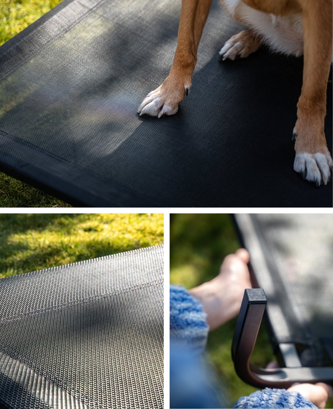 Erhöhte Hundeliege für Haus und Garten