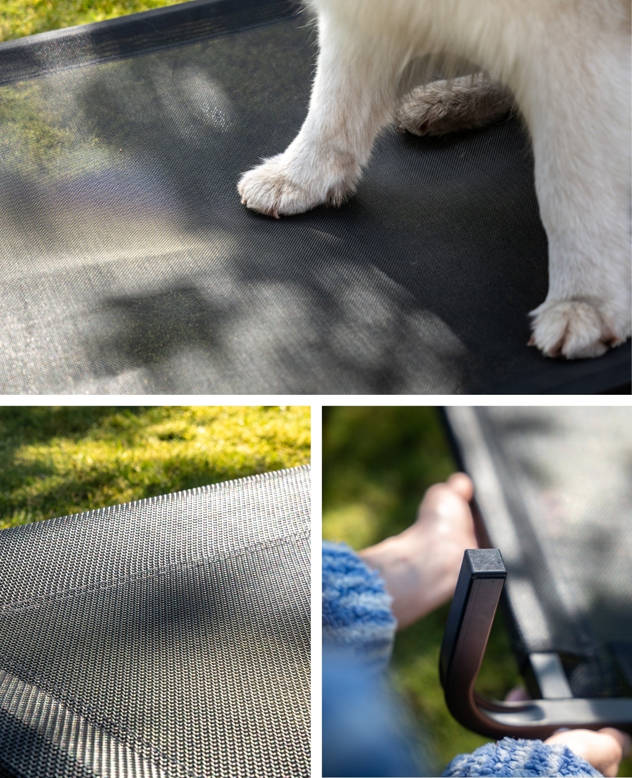 Erhöhte Hundeliege für Haus und Garten