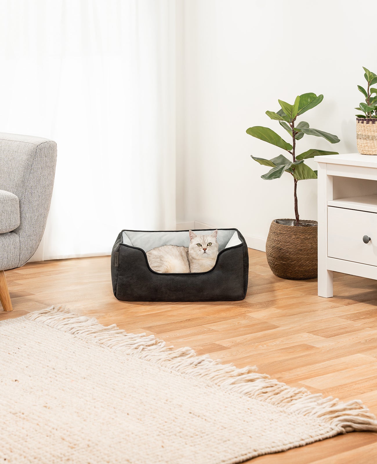 2-in-1 Katzenbett in Wildlederoptik
