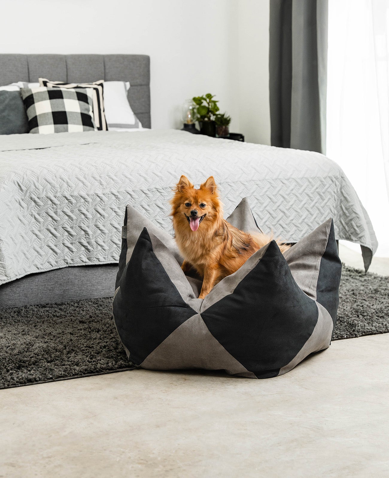 Kronenkissen für Hunde