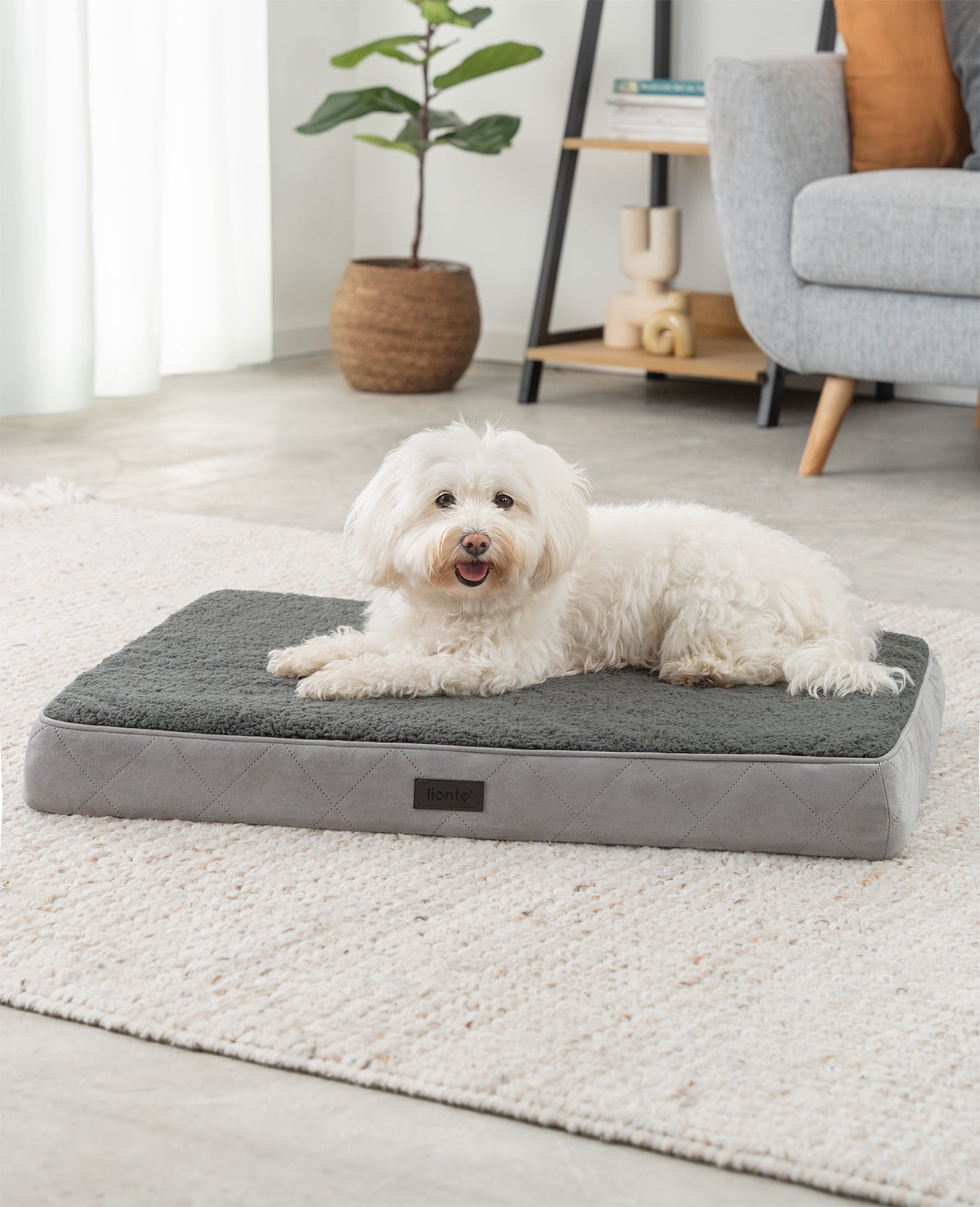 Orthopädisches Hundebett mit Plüsch