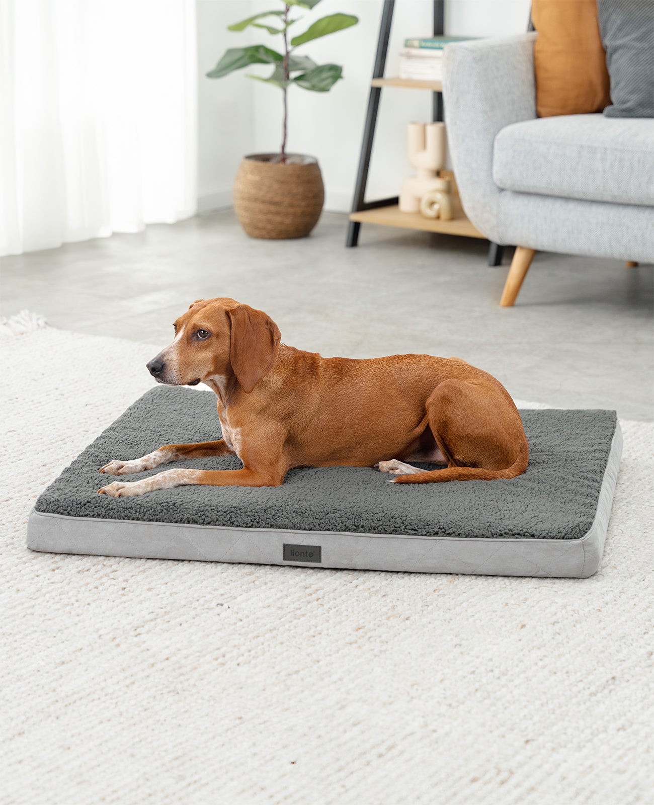 Orthopädisches Hundebett mit Plüsch