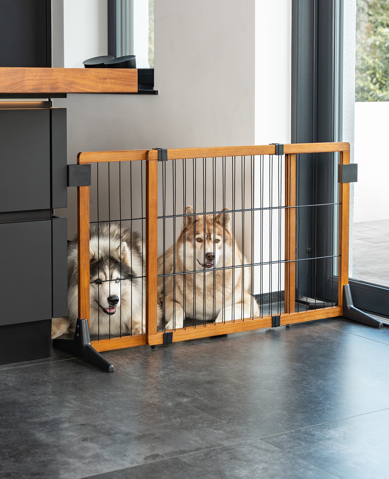 zwei Huskys liegen hinter Absperrgitter in Küche