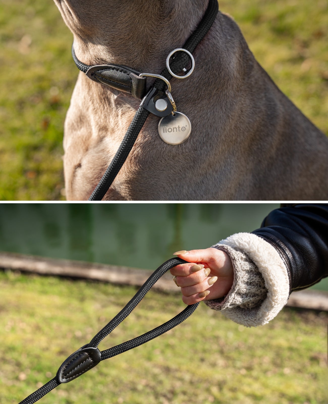 Hundeleine mit Zugstopp