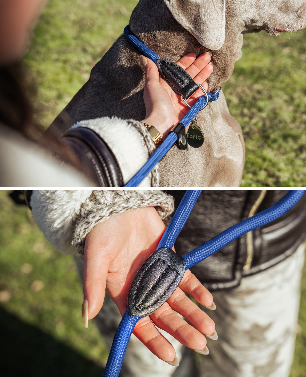 Hundeleine mit Zugstopp