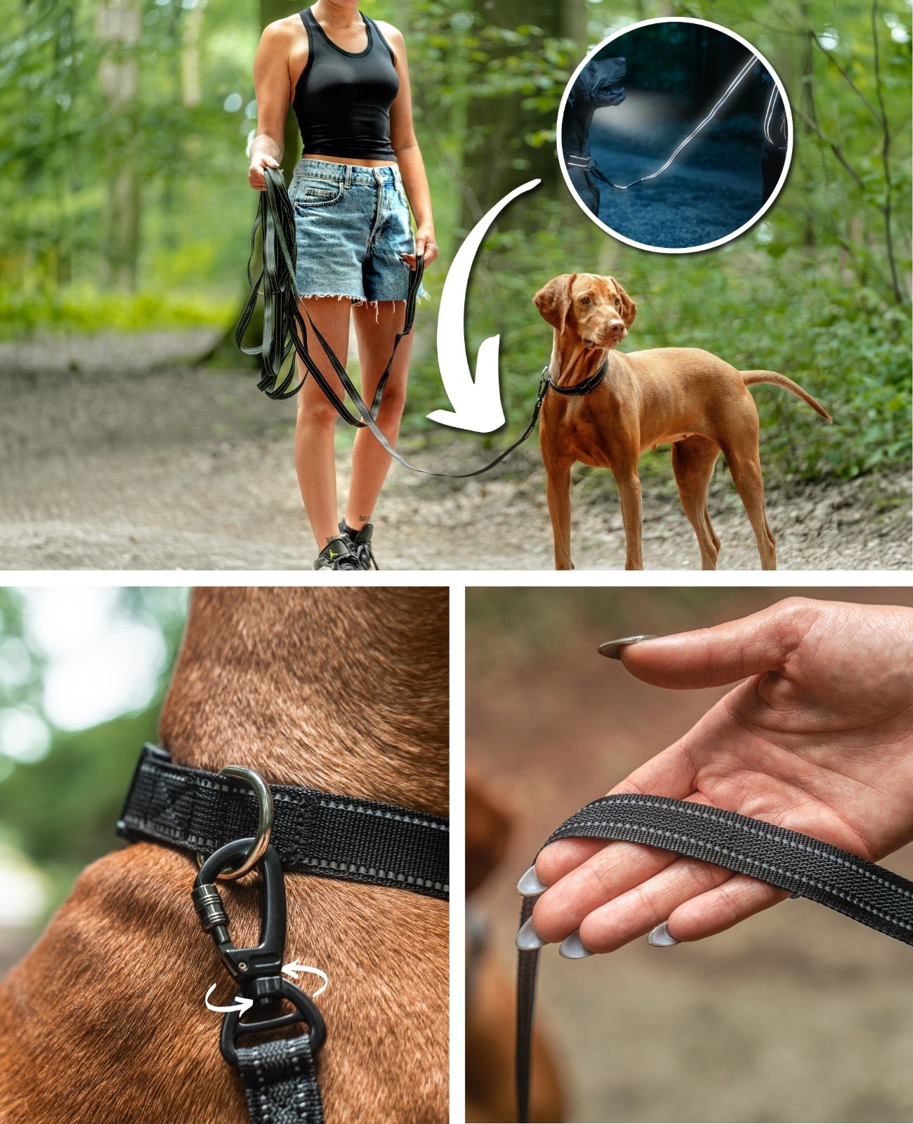 Gummierte Schleppleine für Hunde, reflektierend