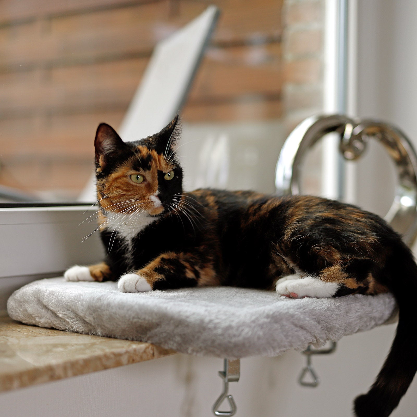 Fensterbankliege für Katzen