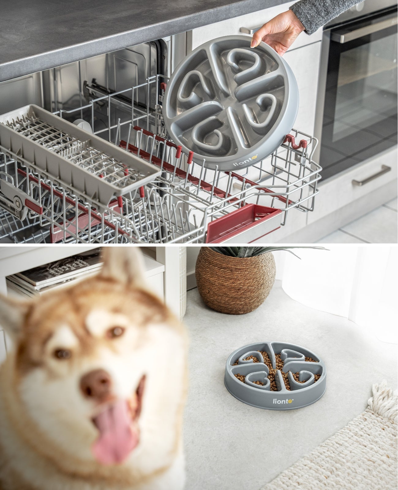 Antischlingnapf, verschiedene Varianten